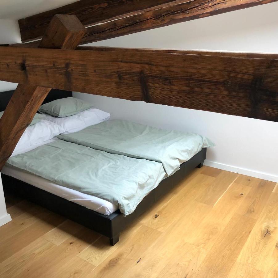 Loft V Historickom Centre Trenčín Екстериор снимка